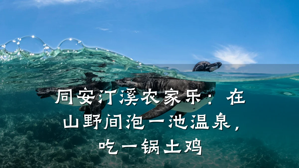 同安汀溪农家乐:在山野间泡一池温泉,吃一锅土鸡