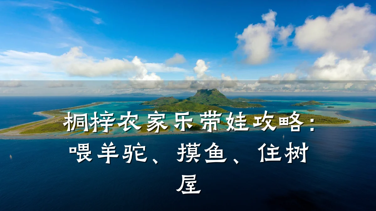 桐梓农家乐带娃攻略：喂羊驼、摸鱼、住树屋