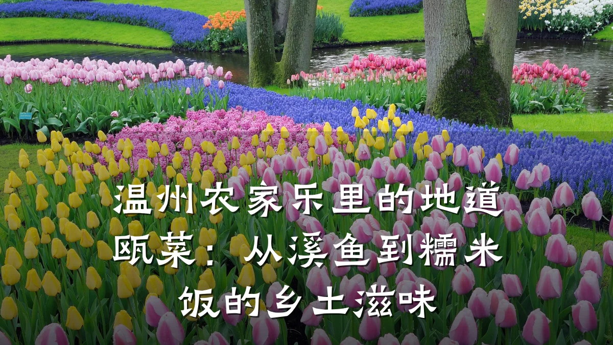 温州农家乐里的地道瓯菜:从溪鱼到糯米饭的乡土滋味