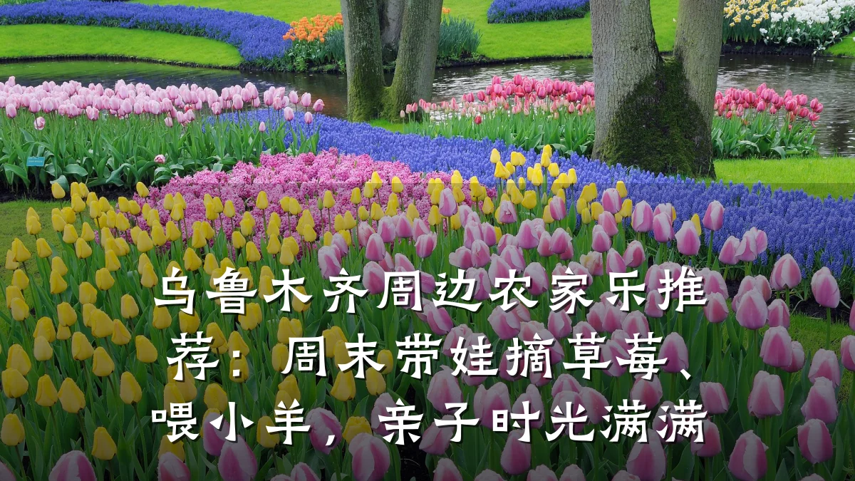 乌鲁木齐周边农家乐推荐:周末带娃摘草莓、喂小羊,亲子时光满满