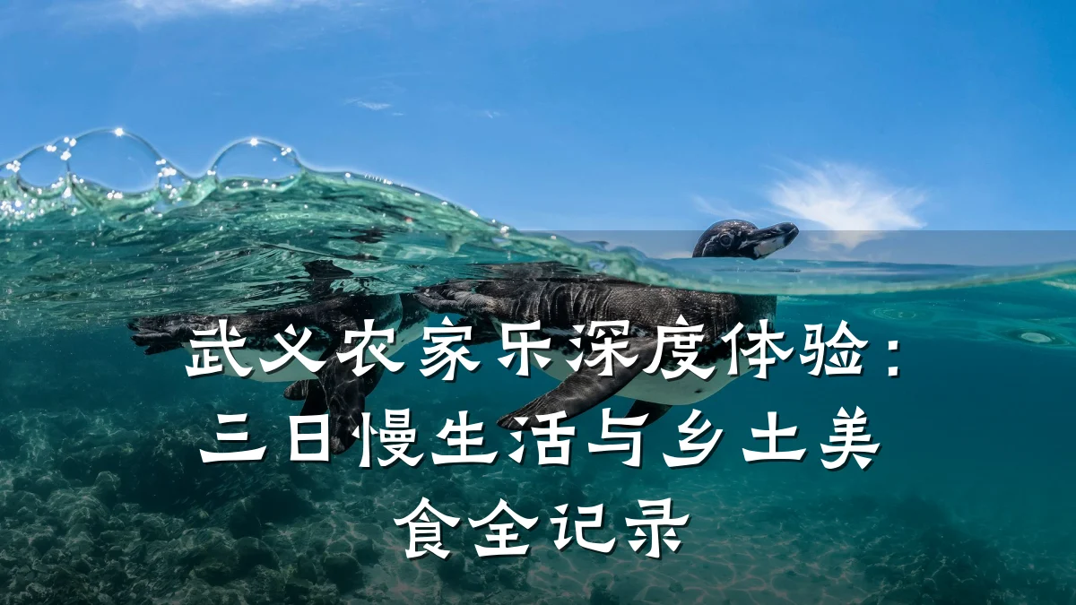 武义农家乐深度体验:三日慢生活与乡土美食全记录