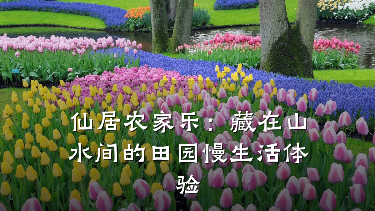 仙居农家乐：藏在山水间的田园慢生活体验
