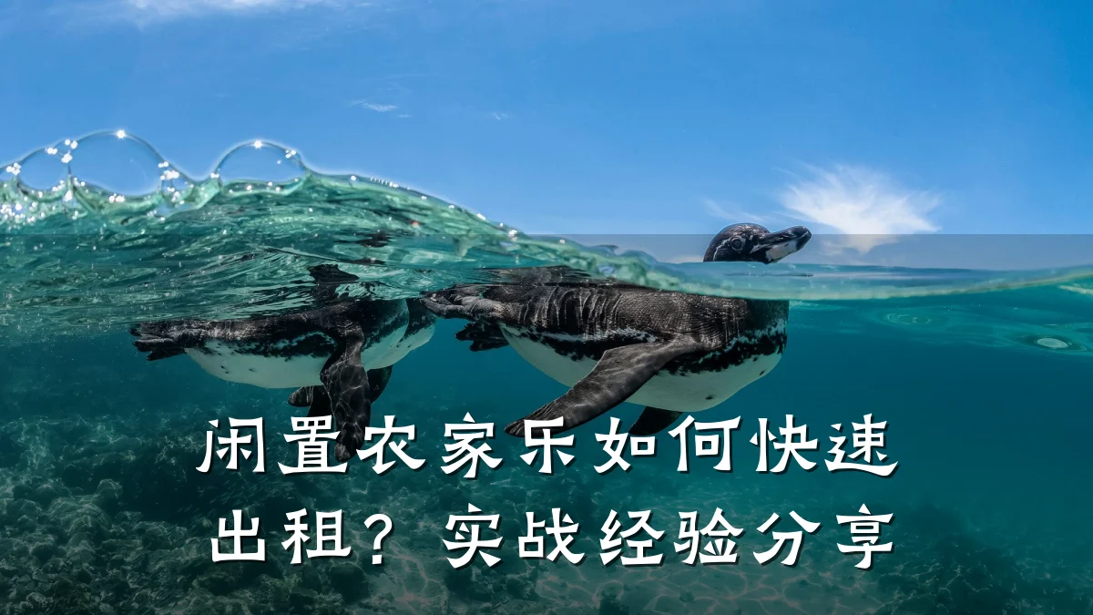 闲置农家乐如何快速出租?实战经验分享