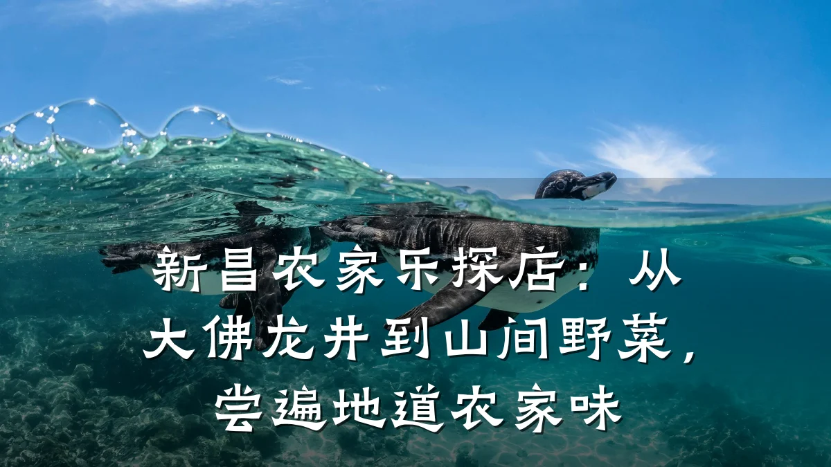 新昌农家乐探店:从大佛龙井到山间野菜,尝遍地道农家味