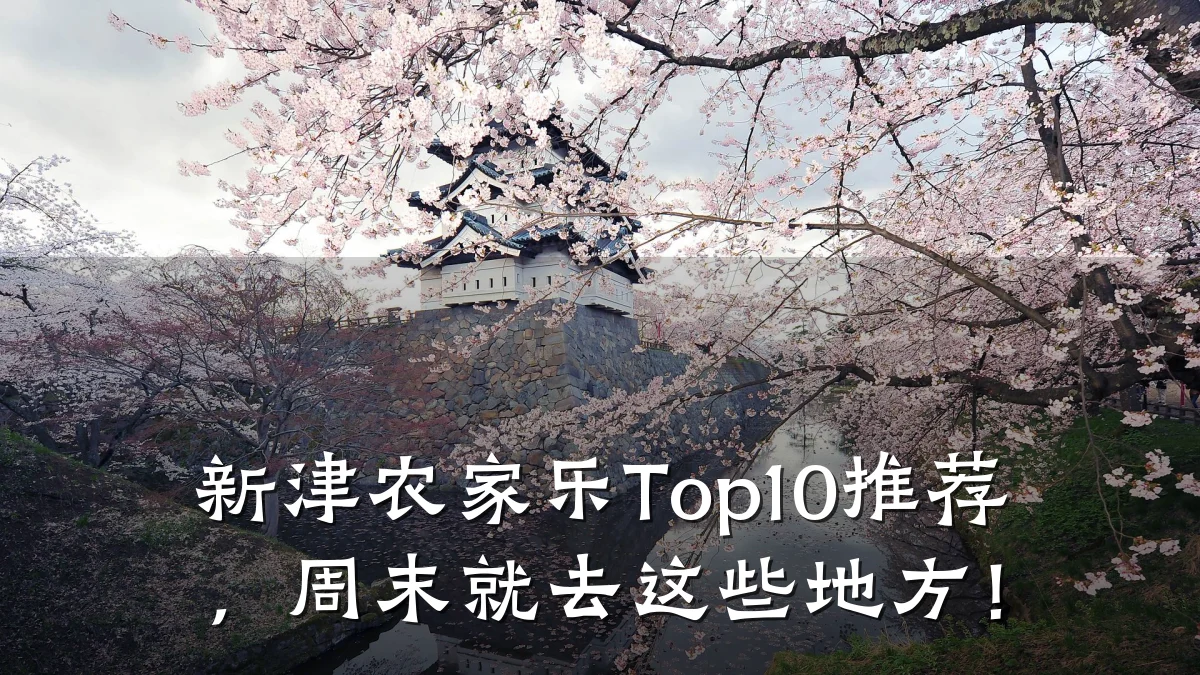 新津农家乐Top10推荐,周末就去这些地方!