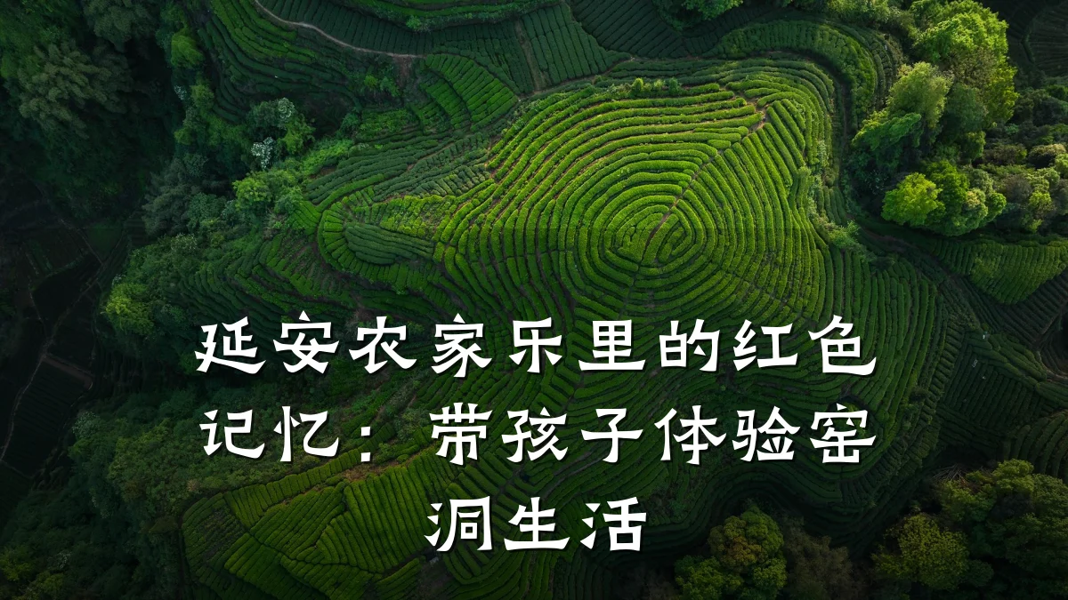 延安农家乐里的红色记忆:带孩子体验窑洞生活