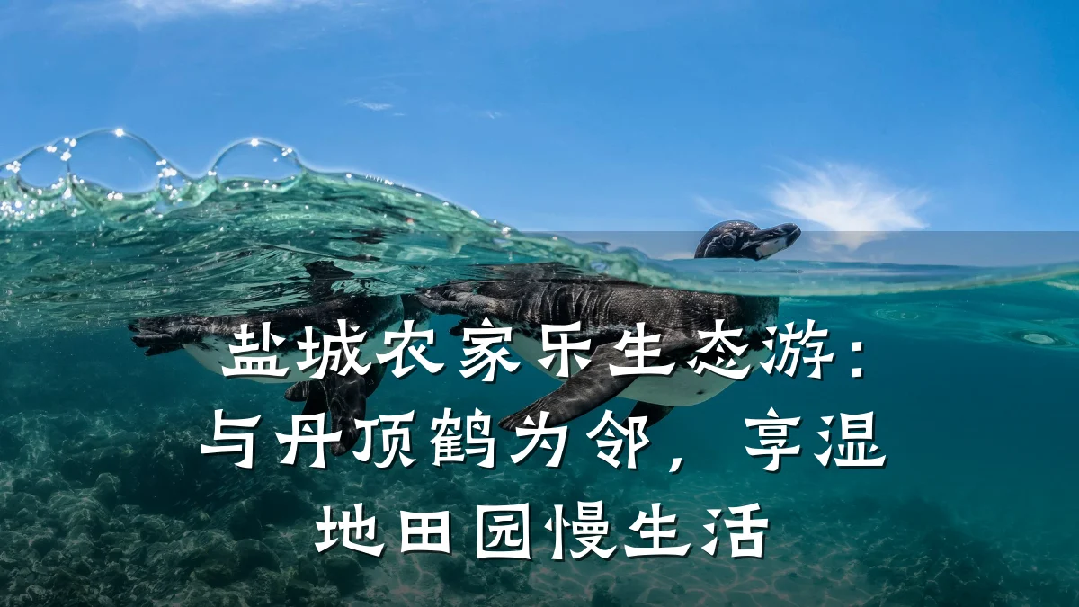 盐城农家乐生态游:与丹顶鹤为邻,享湿地田园慢生活