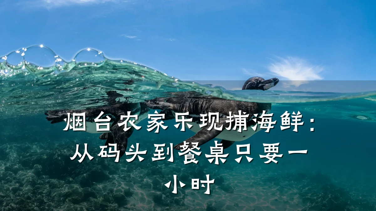 烟台农家乐现捕海鲜:从码头到餐桌只要一小时