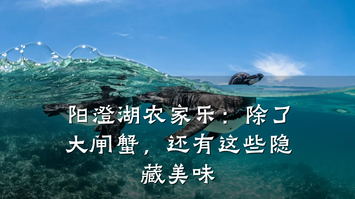 阳澄湖农家乐:除了大闸蟹,还有这些隐藏美味