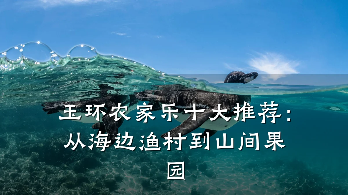 玉环农家乐十大推荐:从海边渔村到山间果园