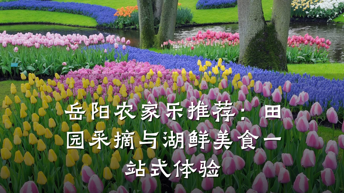 岳阳农家乐推荐:田园采摘与湖鲜美食一站式体验