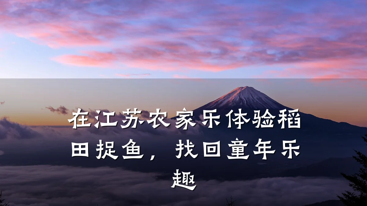 在江苏农家乐体验稻田捉鱼,找回童年乐趣