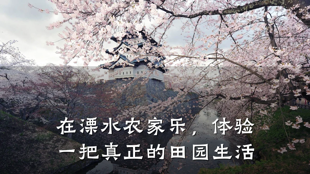 在溧水农家乐，体验一把真正的田园生活