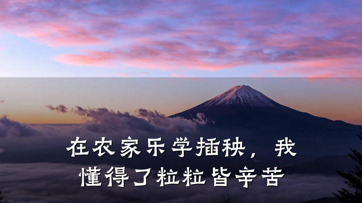在农家乐学插秧,我懂得了粒粒皆辛苦