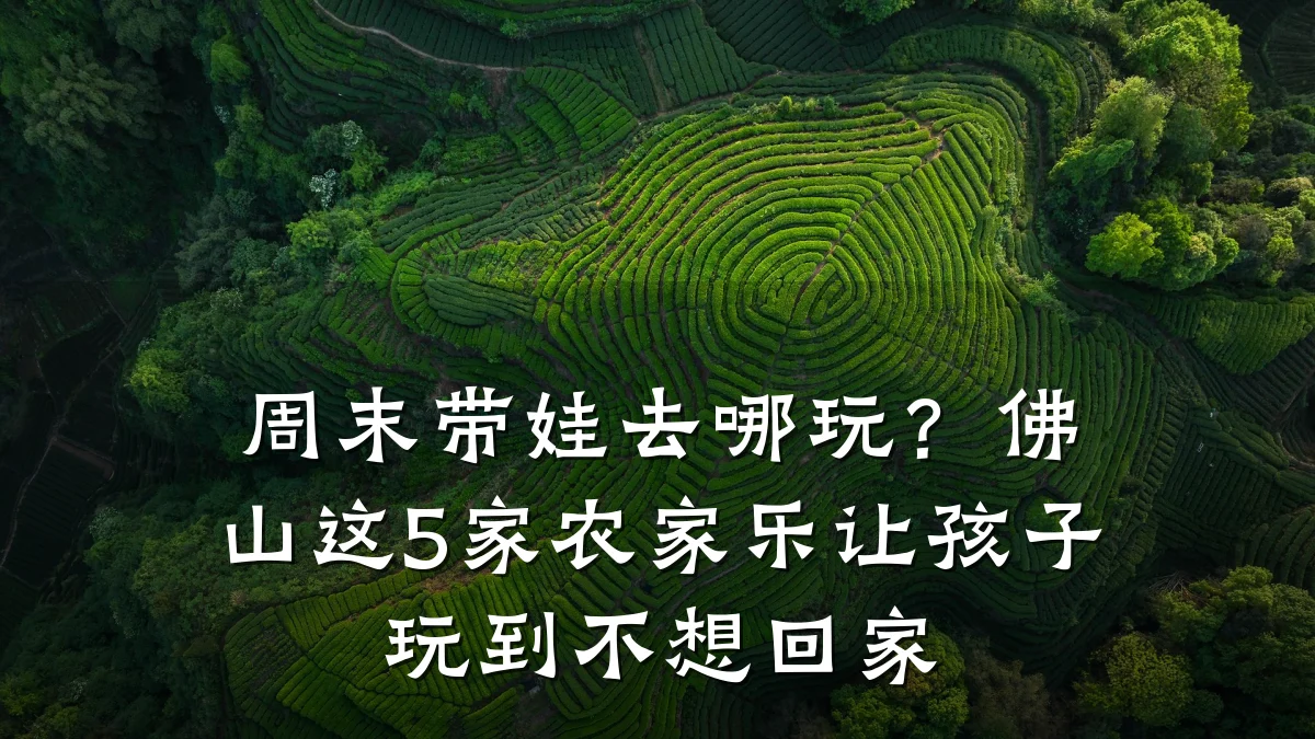 周末带娃去哪玩?佛山这5家农家乐让孩子玩到不想回家