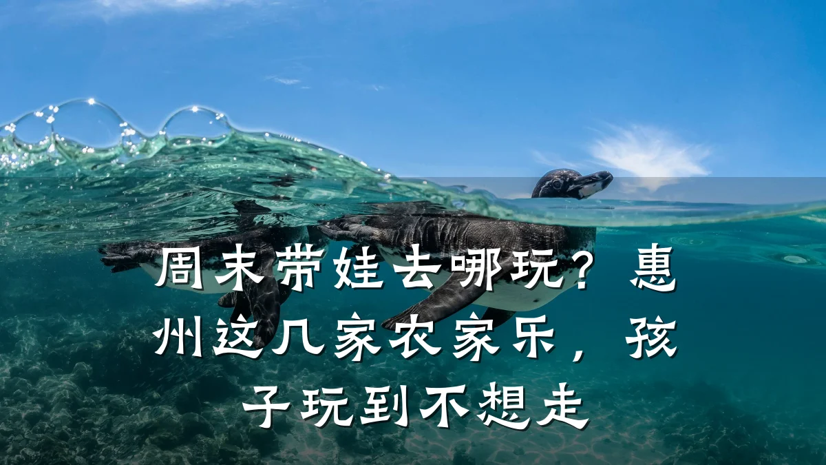周末带娃去哪玩?惠州这几家农家乐,孩子玩到不想走