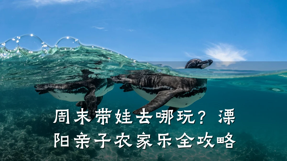 周末带娃去哪玩?溧阳亲子农家乐全攻略