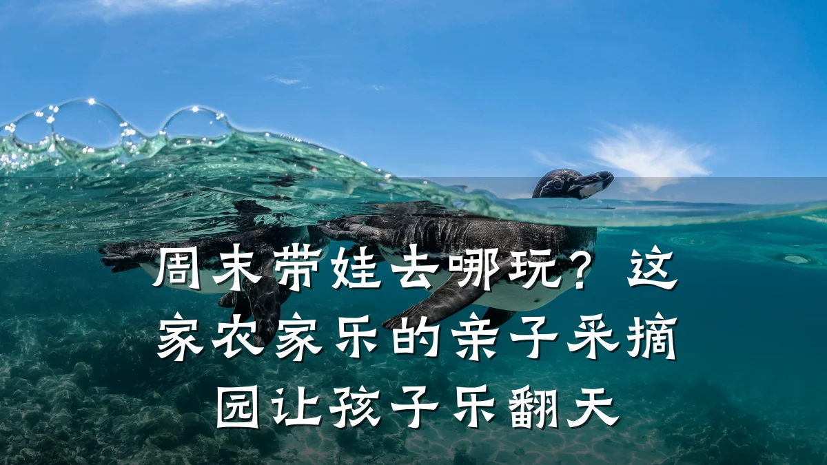 周末带娃去哪玩?这家农家乐的亲子采摘园让孩子乐翻天