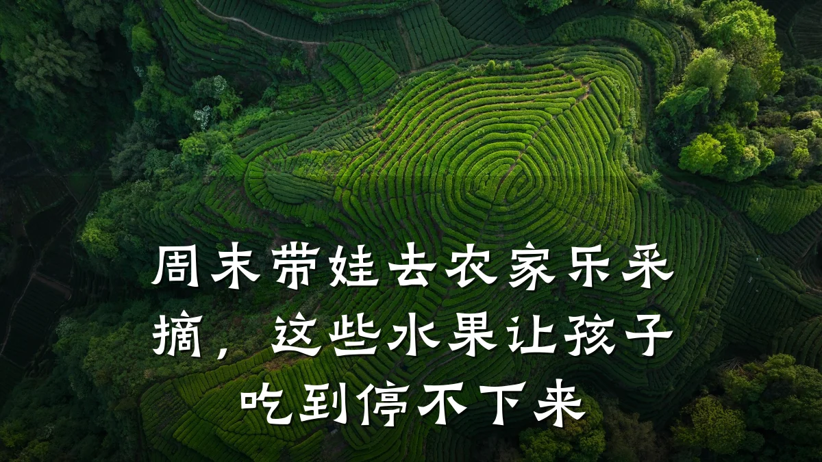 周末带娃去农家乐采摘,这些水果让孩子吃到停不下来