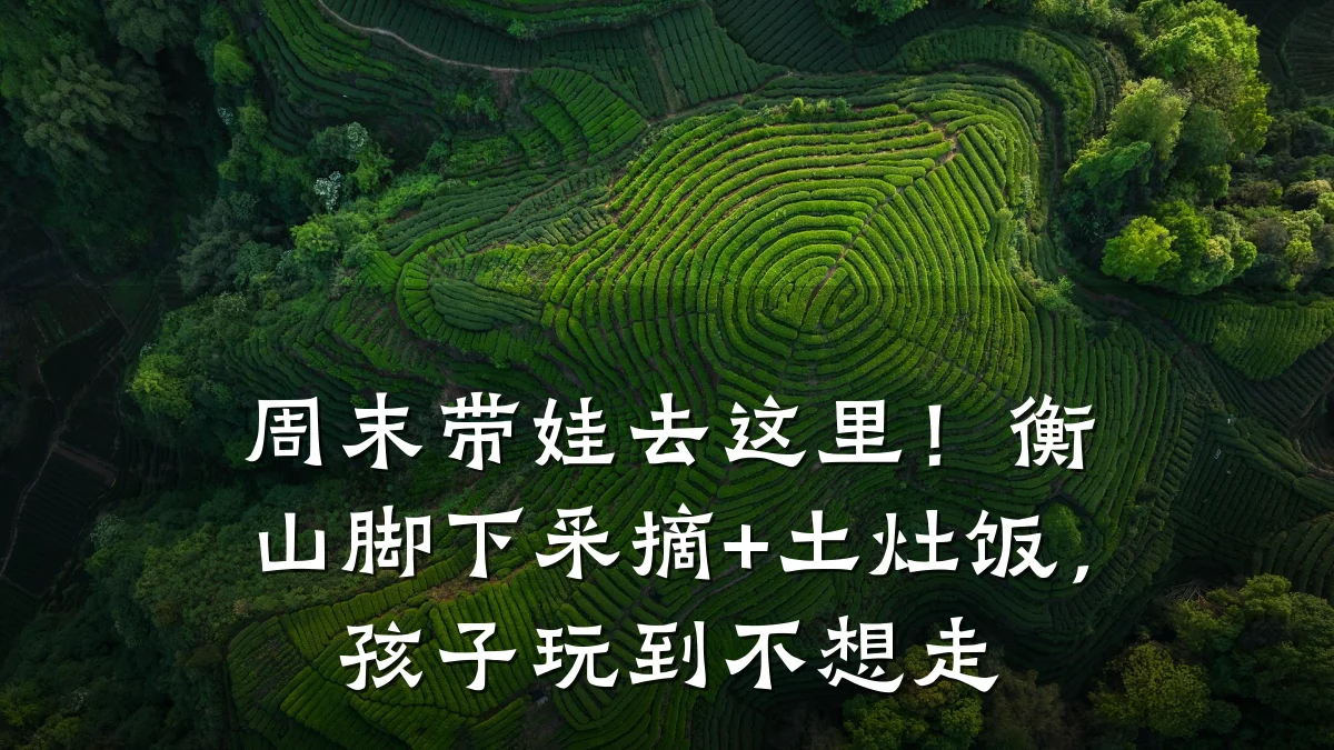 周末带娃去这里！衡山脚下采摘+土灶饭，孩子玩到不想走
