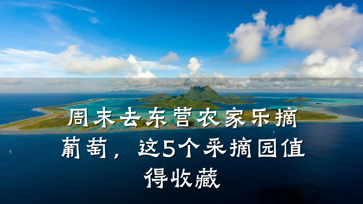 周末去东营农家乐摘葡萄,这5个采摘园值得收藏