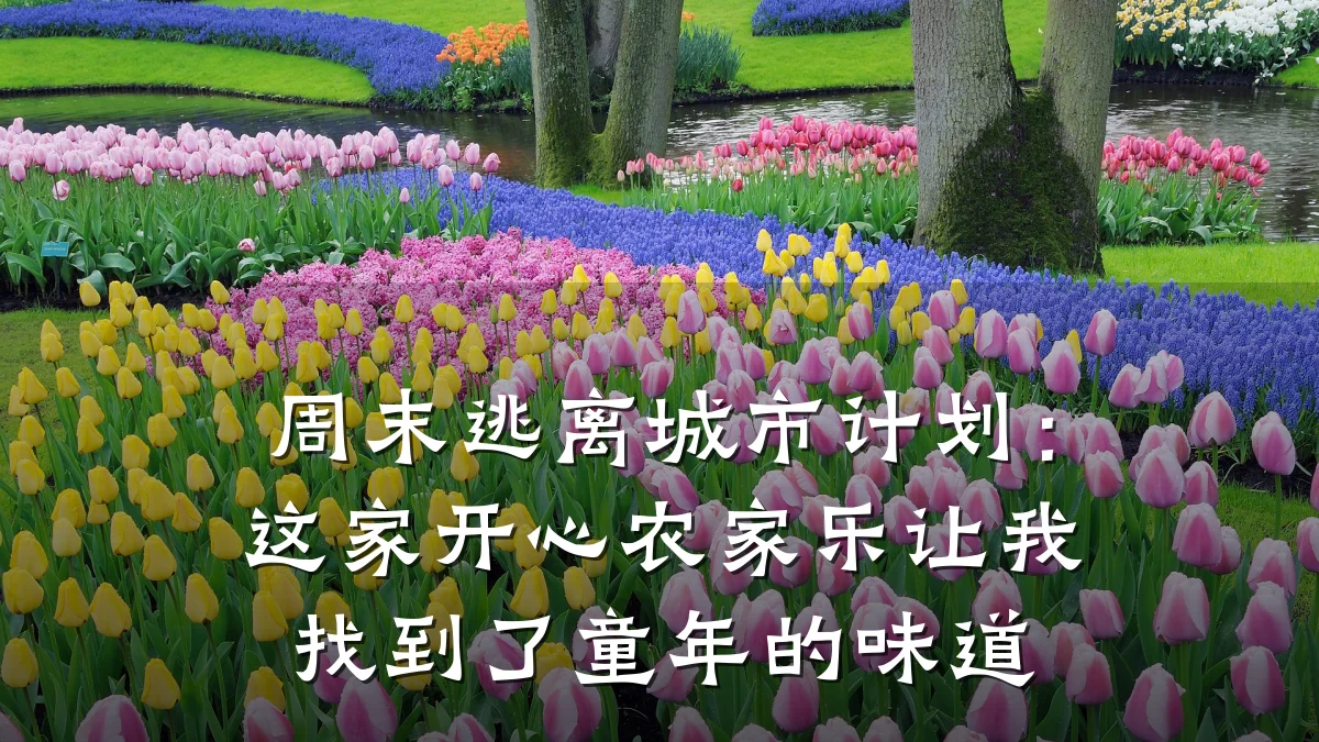 周末逃离城市计划:这家开心农家乐让我找到了童年的味道