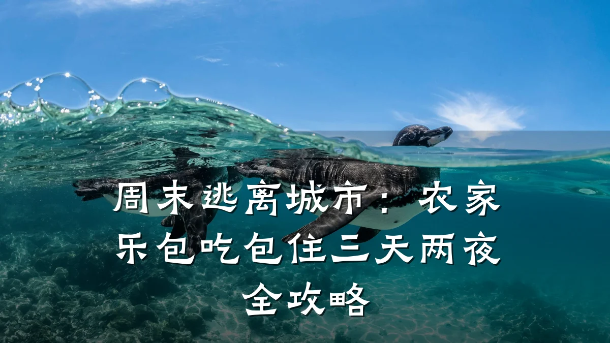 周末逃离城市:农家乐包吃包住三天两夜全攻略