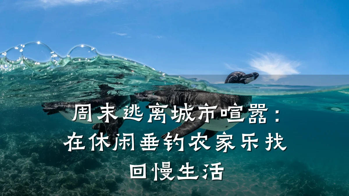 周末逃离城市喧嚣:在休闲垂钓农家乐找回慢生活