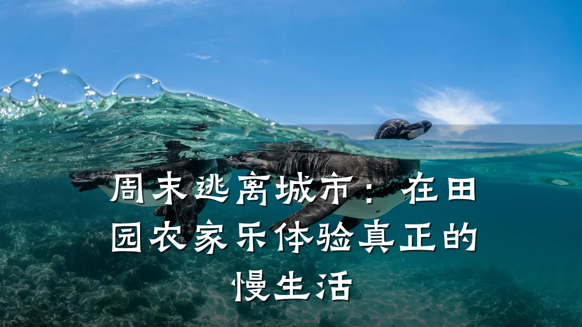 周末逃离城市:在田园农家乐体验真正的慢生活