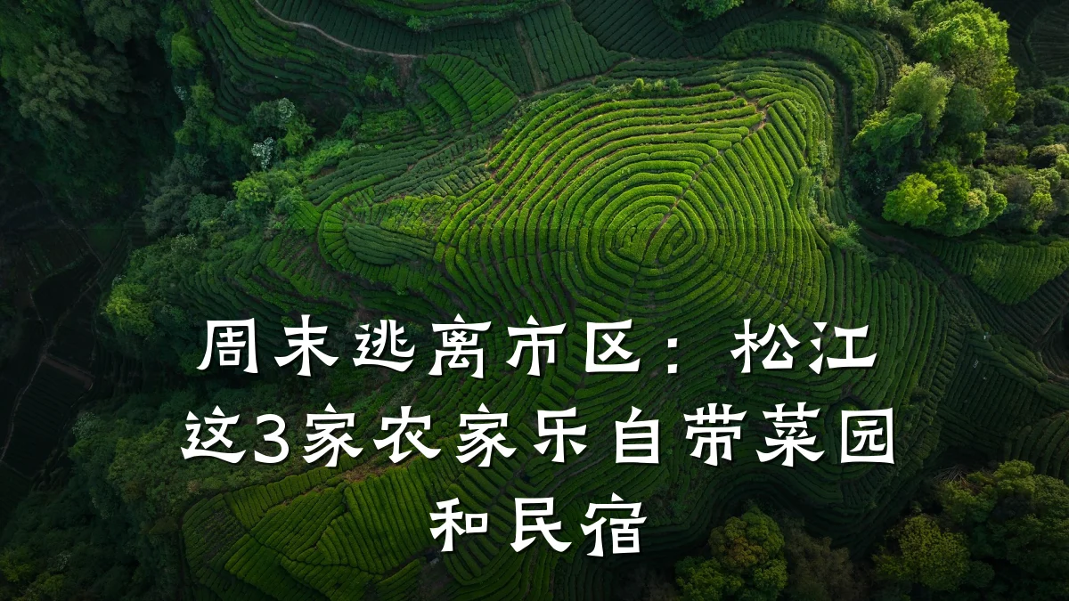 周末逃离市区：松江这3家农家乐自带菜园和民宿