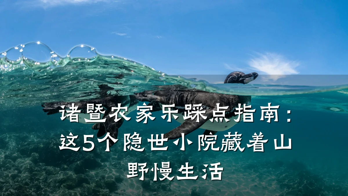 诸暨农家乐踩点指南：这5个隐世小院藏着山野慢生活