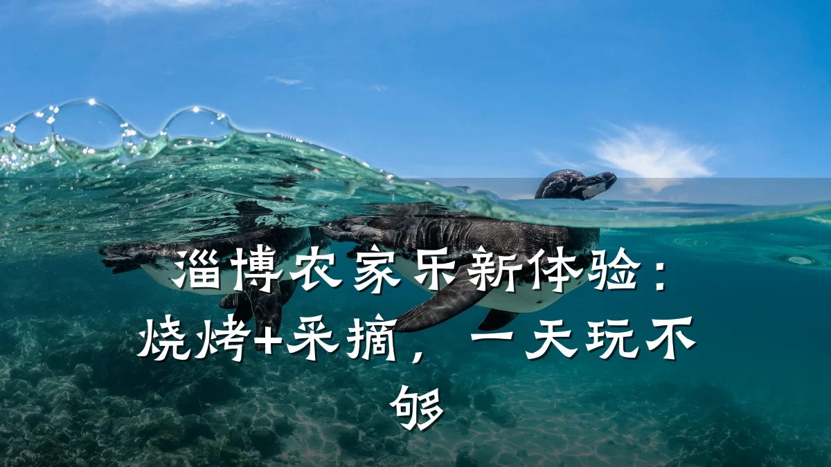 淄博农家乐新体验:烧烤+采摘,一天玩不够