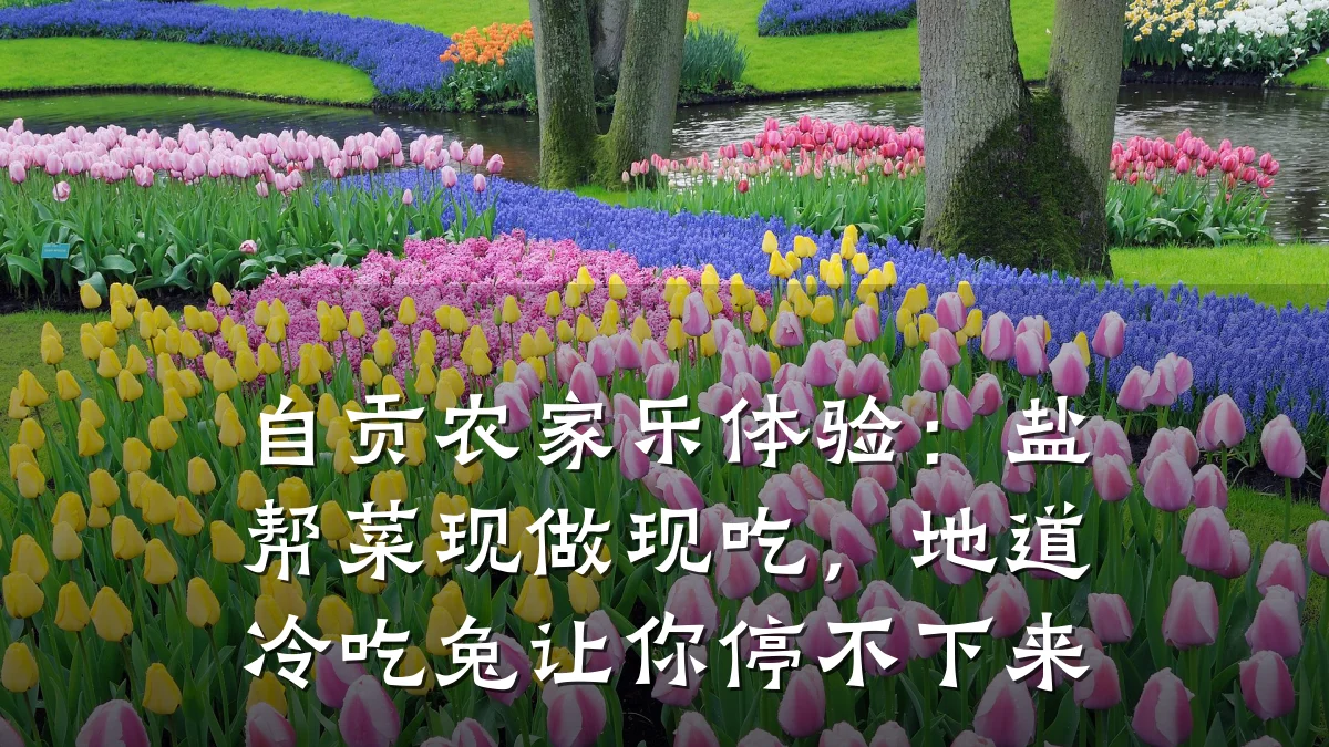 自贡农家乐体验：盐帮菜现做现吃，地道冷吃兔让你停不下来