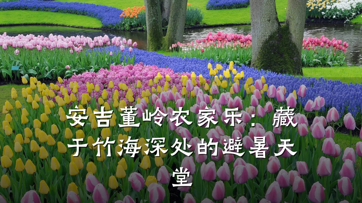 安吉董岭农家乐:藏于竹海深处的避暑天堂