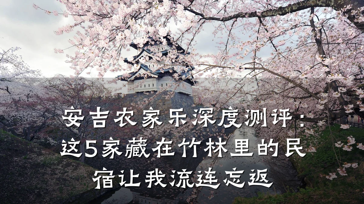 安吉农家乐深度测评:这5家藏在竹林里的民宿让我流连忘返