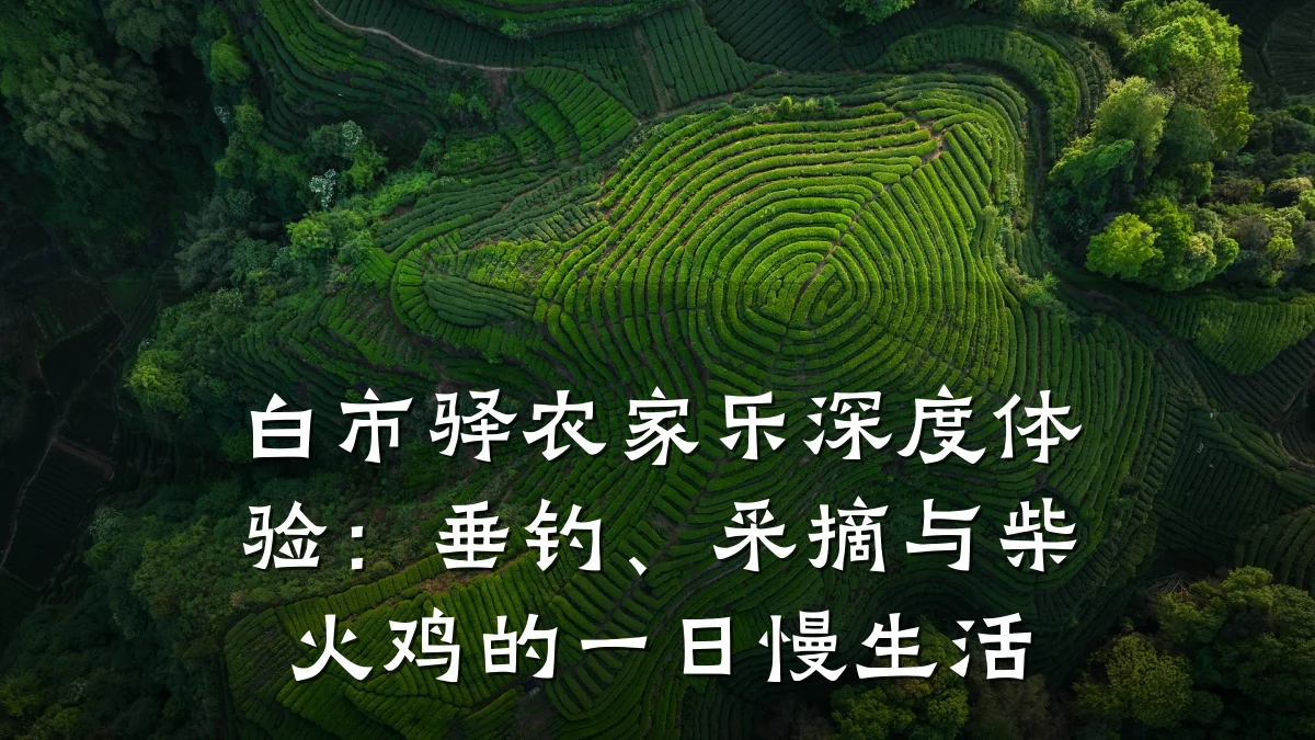 白市驿农家乐深度体验:垂钓、采摘与柴火鸡的一日慢生活