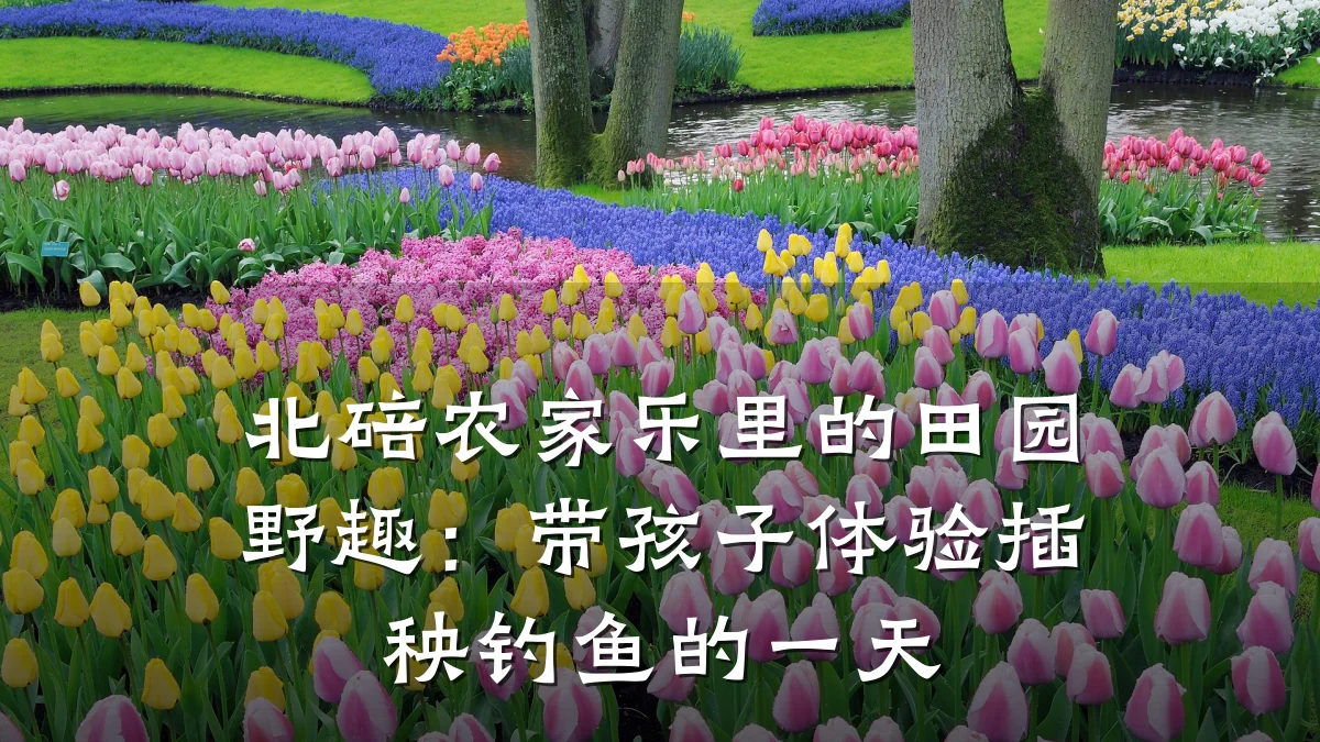 北碚农家乐里的田园野趣:带孩子体验插秧钓鱼的一天