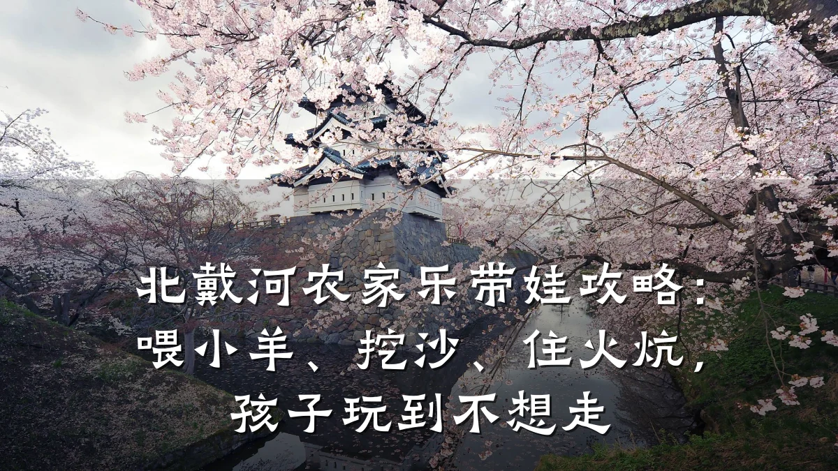 北戴河农家乐带娃攻略:喂小羊、挖沙、住火炕,孩子玩到不想走