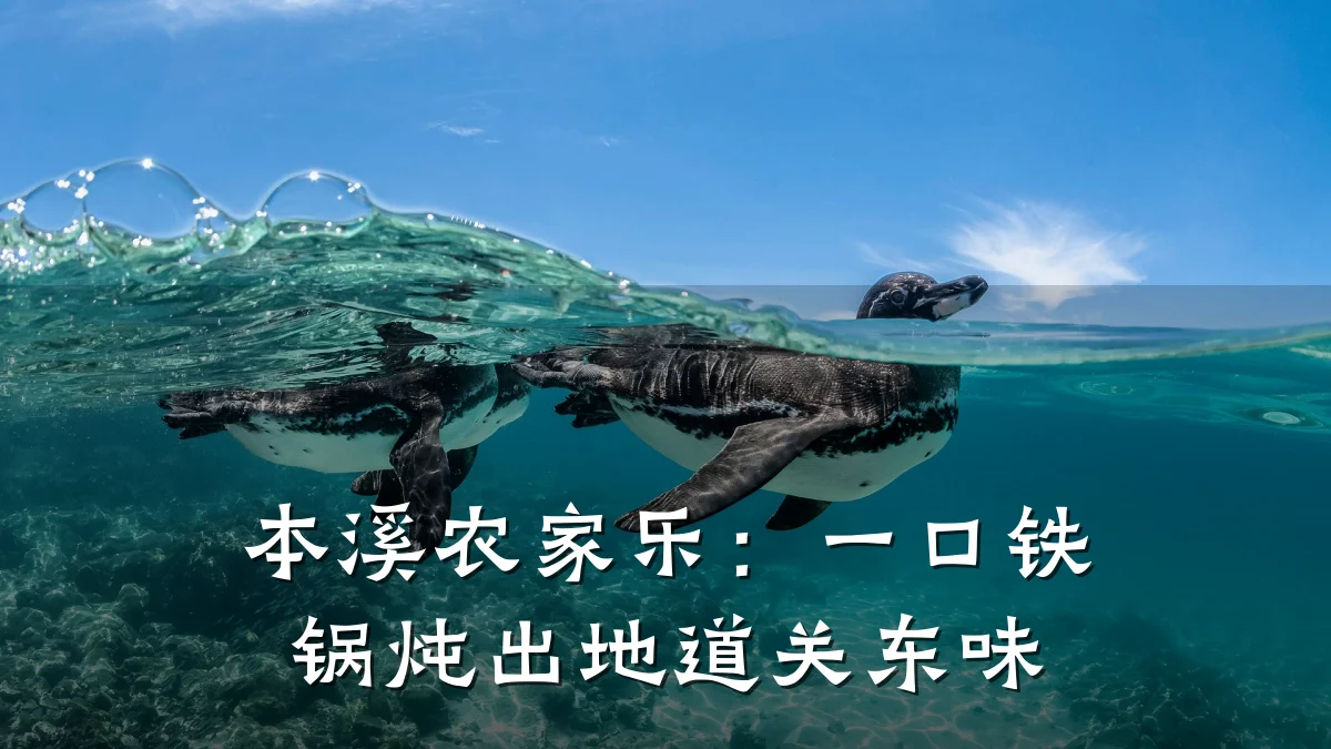 本溪农家乐:一口铁锅炖出地道关东味
