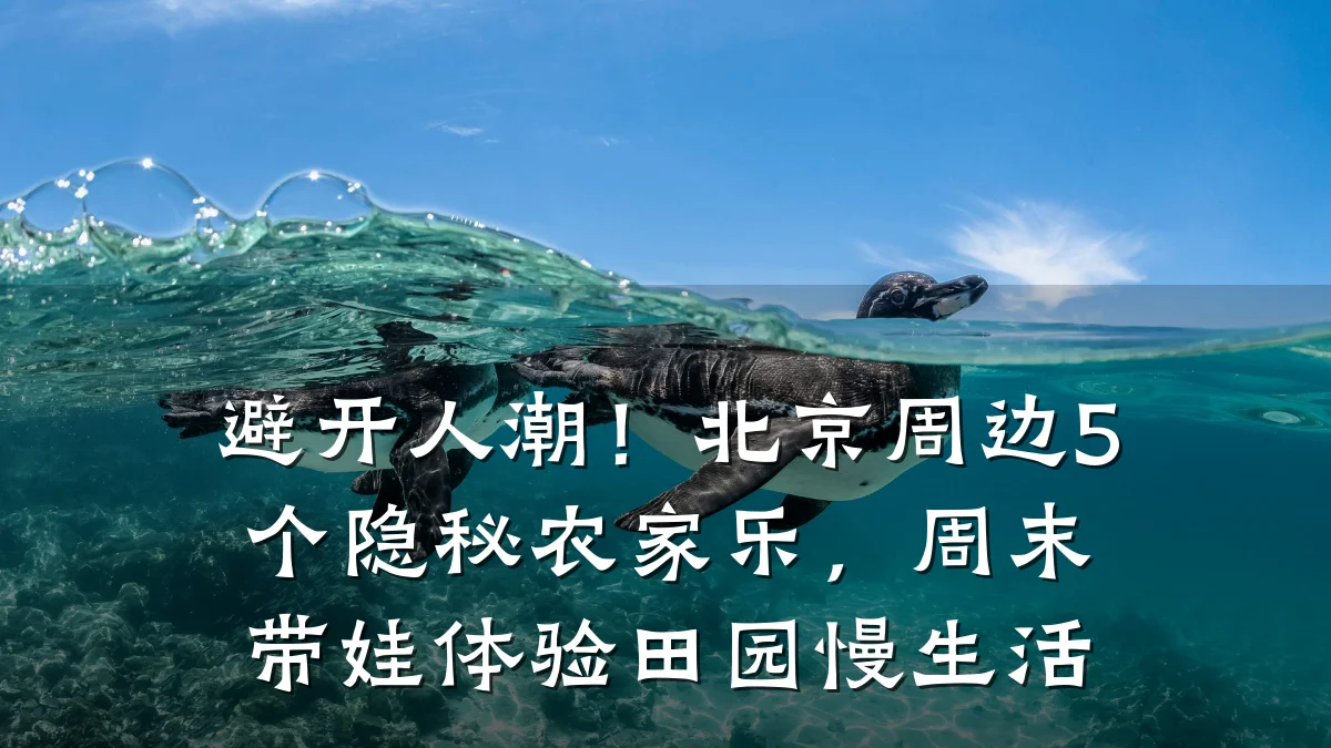 避开人潮!北京周边5个隐秘农家乐,周末带娃体验田园慢生活