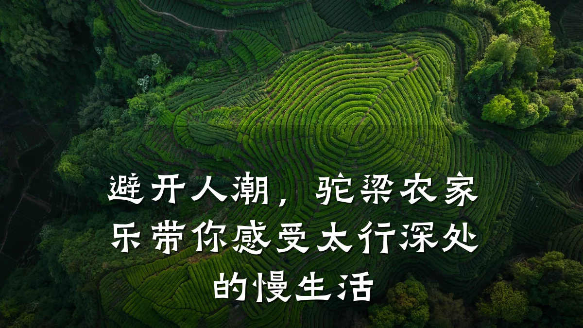 避开人潮,驼梁农家乐带你感受太行深处的慢生活