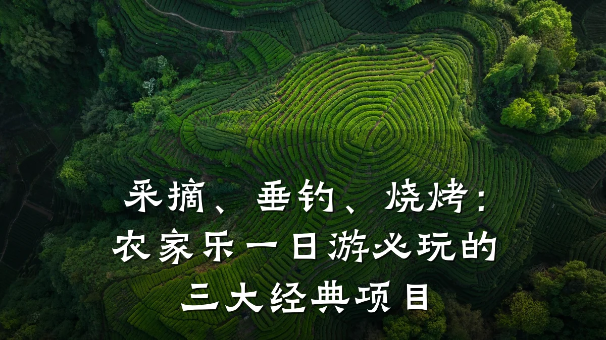 采摘、垂钓、烧烤:农家乐一日游必玩的三大经典项目