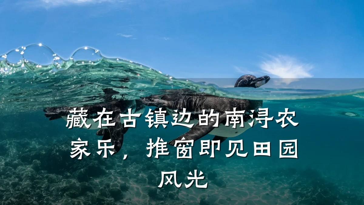 藏在古镇边的南浔农家乐，推窗即见田园风光