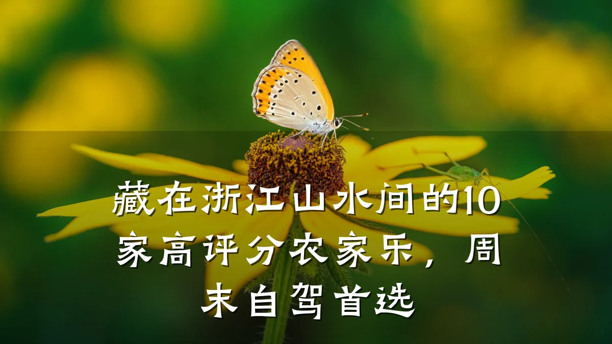 藏在浙江山水间的10家高评分农家乐,周末自驾首选