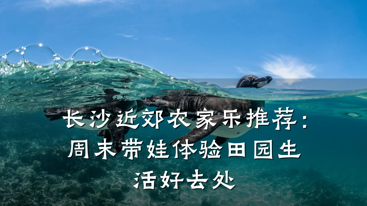 长沙近郊农家乐推荐:周末带娃体验田园生活好去处