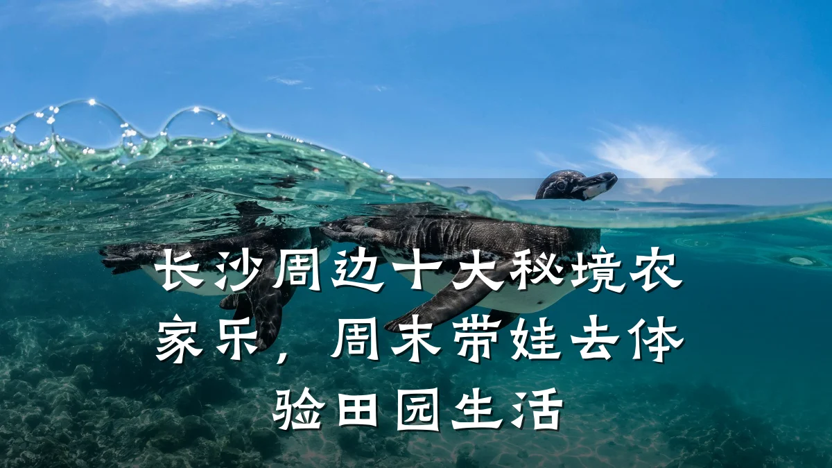 长沙周边十大秘境农家乐,周末带娃去体验田园生活