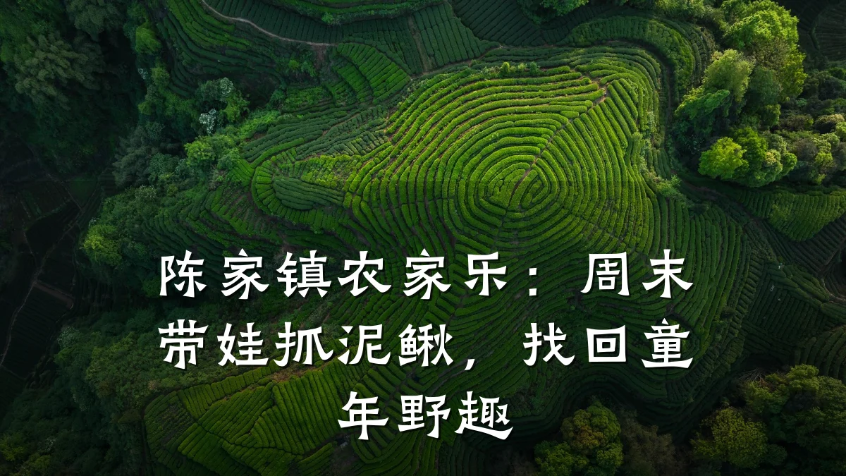 陈家镇农家乐：周末带娃抓泥鳅，找回童年野趣