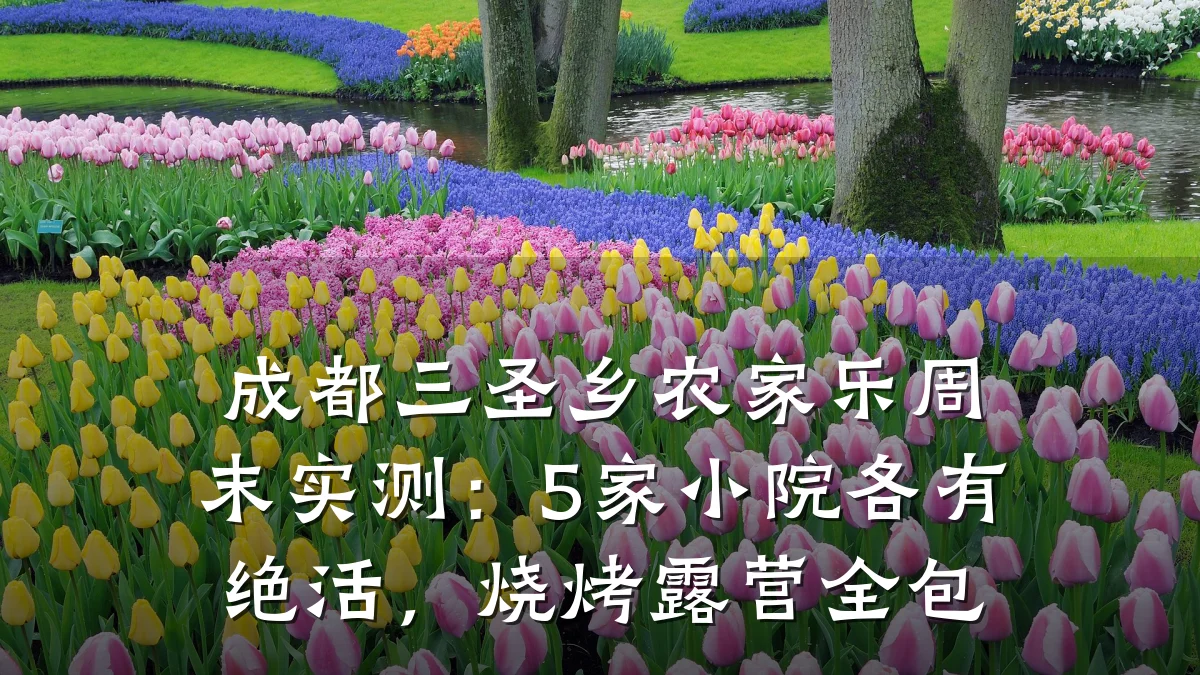 成都三圣乡农家乐周末实测:5家小院各有绝活,烧烤露营全包