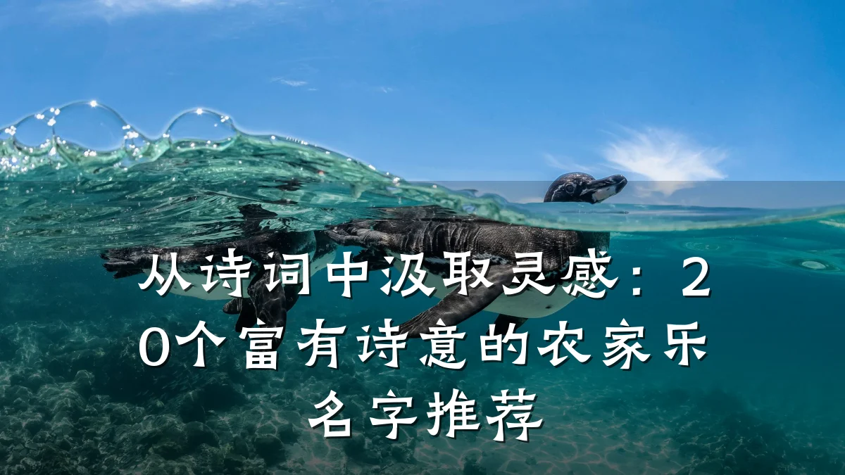 从诗词中汲取灵感:20个富有诗意的农家乐名字推荐