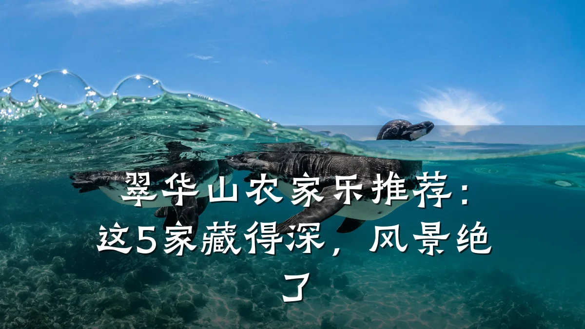 翠华山农家乐推荐:这5家藏得深,风景绝了